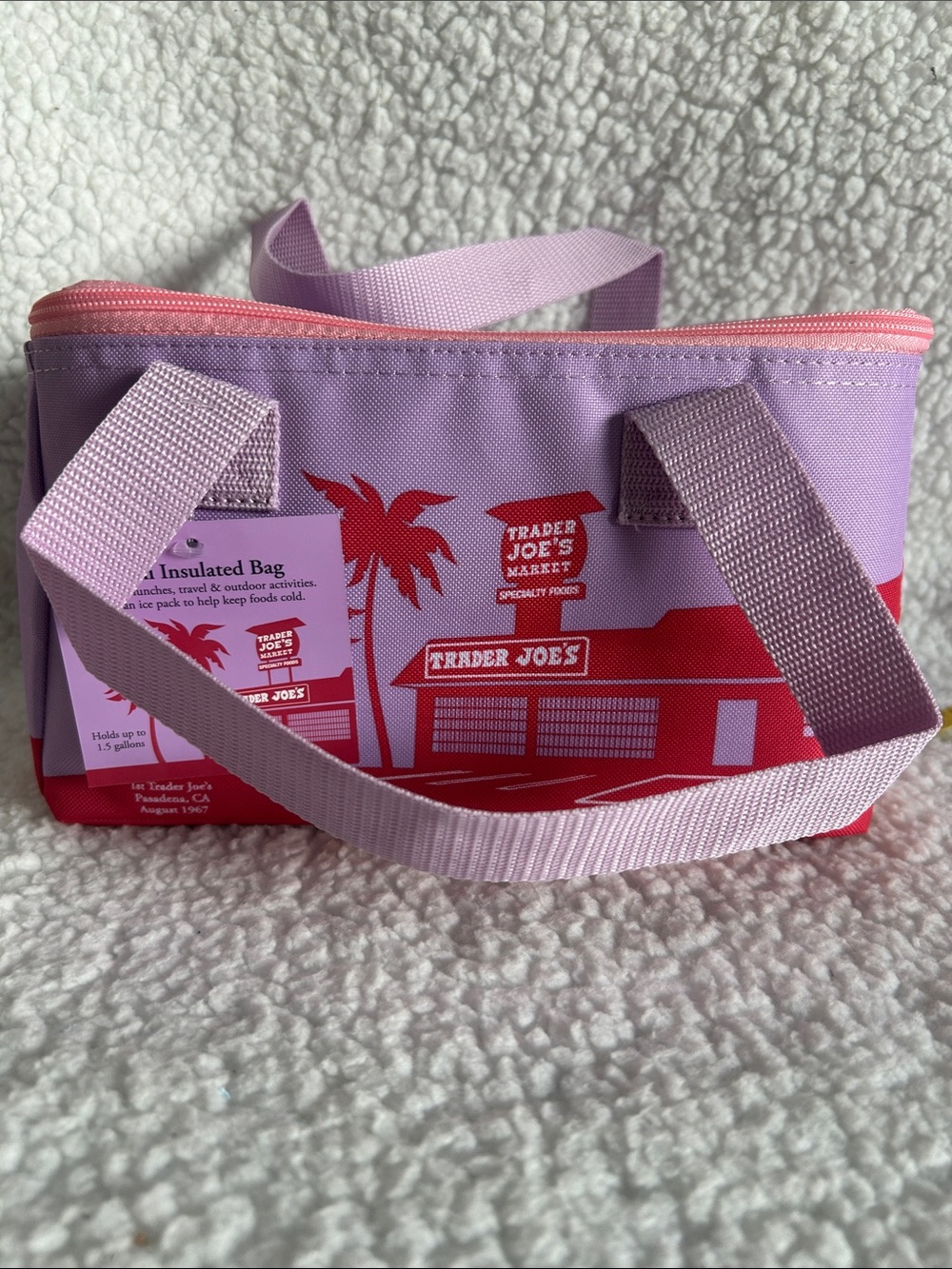 Trader Joe’s Mini Insulated Bag